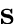 ${\bf s}$